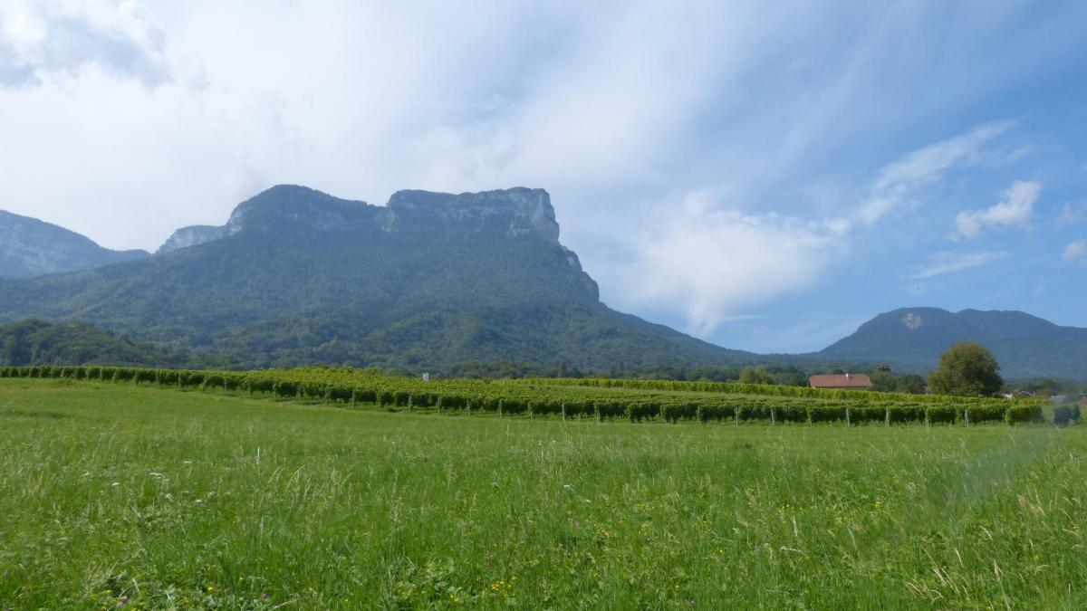 Circuit Randonnée Mt Granier depuis  la Plagne  Savoie