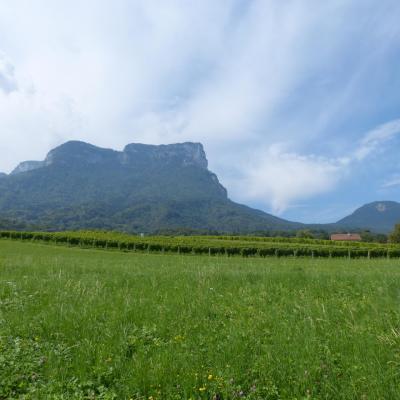 Le mont Granier vu depuis la route d'accès au col du même nom depuis Chapareillan