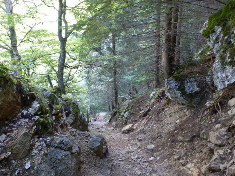 Sentier bien large et aménagé jusqu'au col de l' Alpette ... transhumance oblige ! ça n' empêche pas de forts dénivelés !