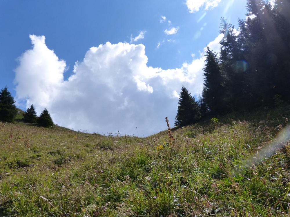 En vue du col de l' Alpette