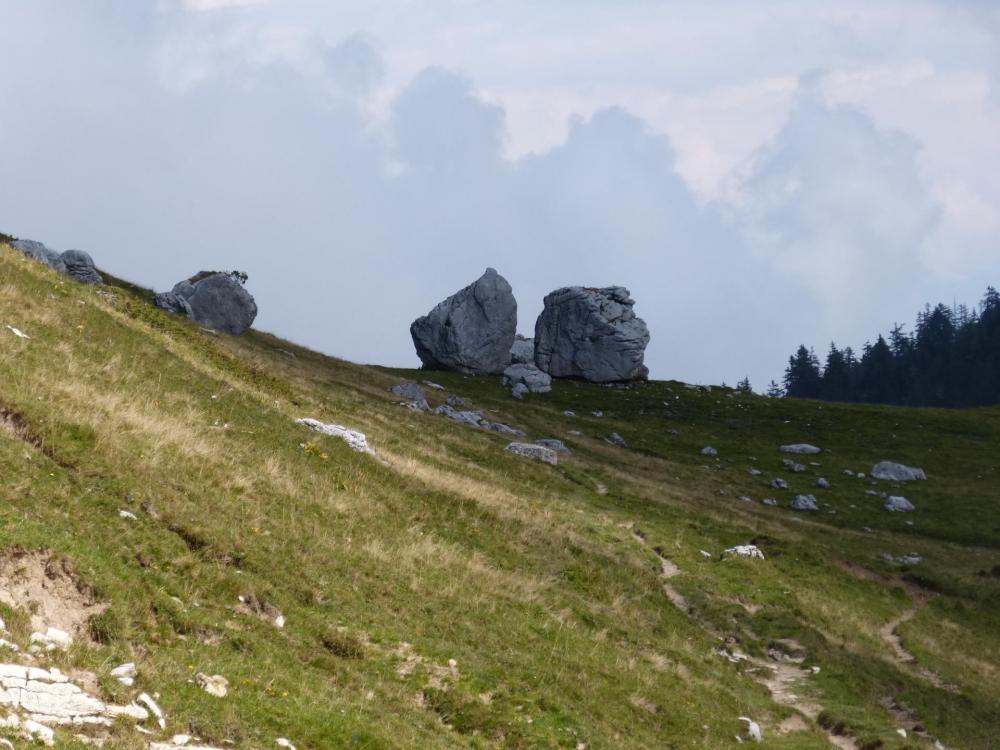 Entre le col de l' Alpette et le pas des barres