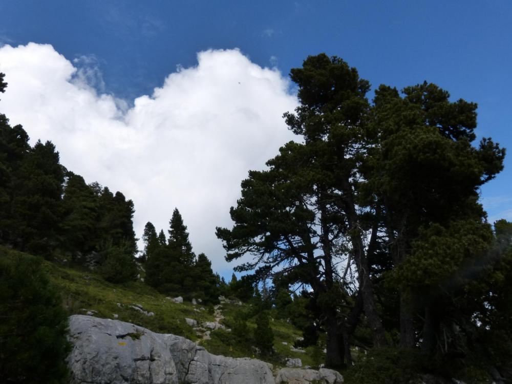 Parcours agréable sur le plateau en direction du Granier et de la Croix du Granier