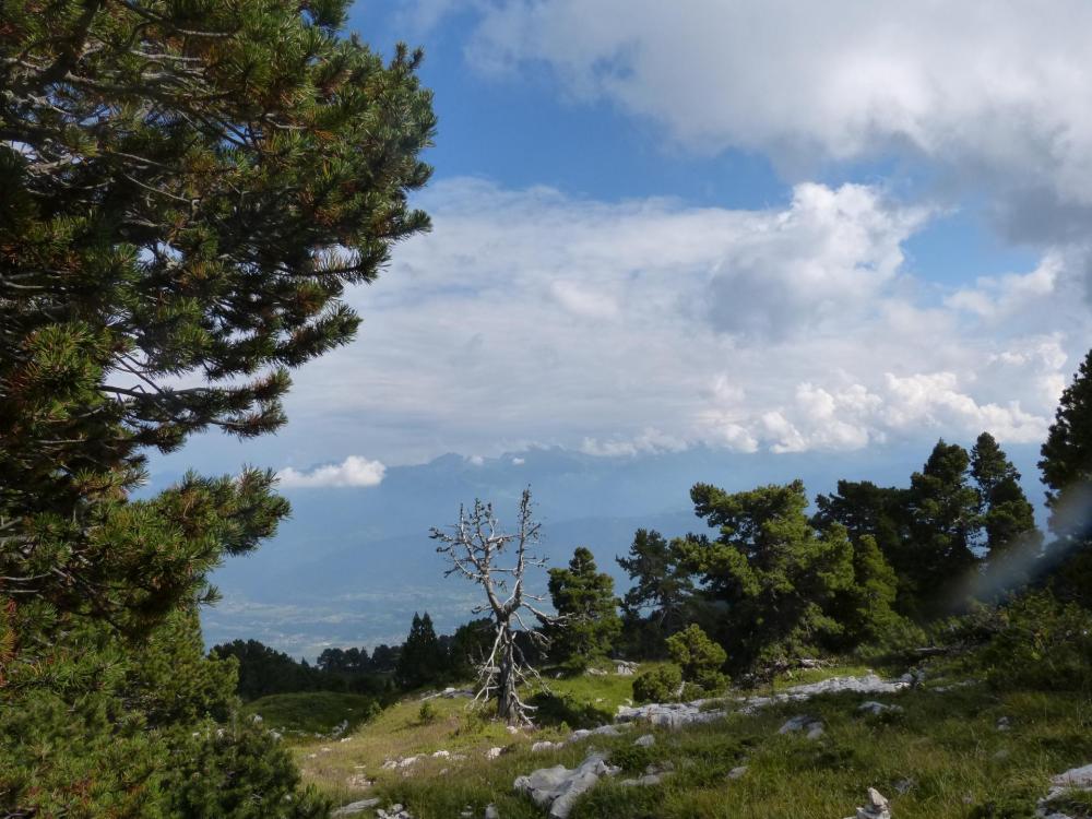 Sentier de descente de la croix du Granier au Pas de la Porte