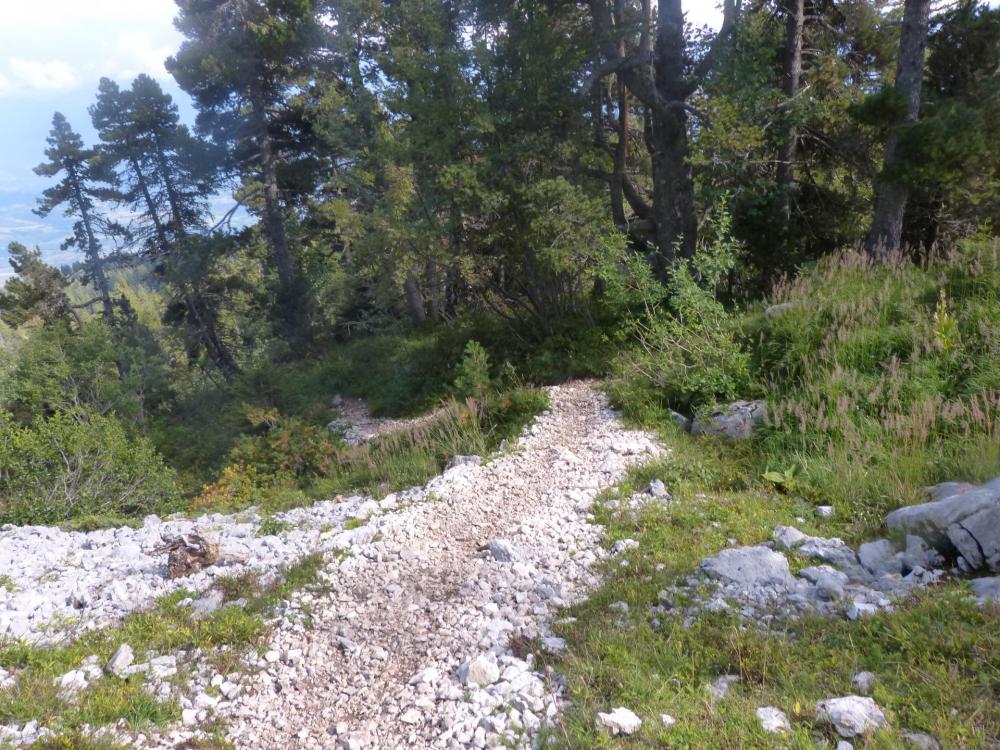 La descente continue tranquille en sous bois