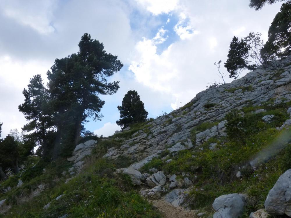 le sentier remonte un peu juste après le col sans nom - altitude 1840 m.