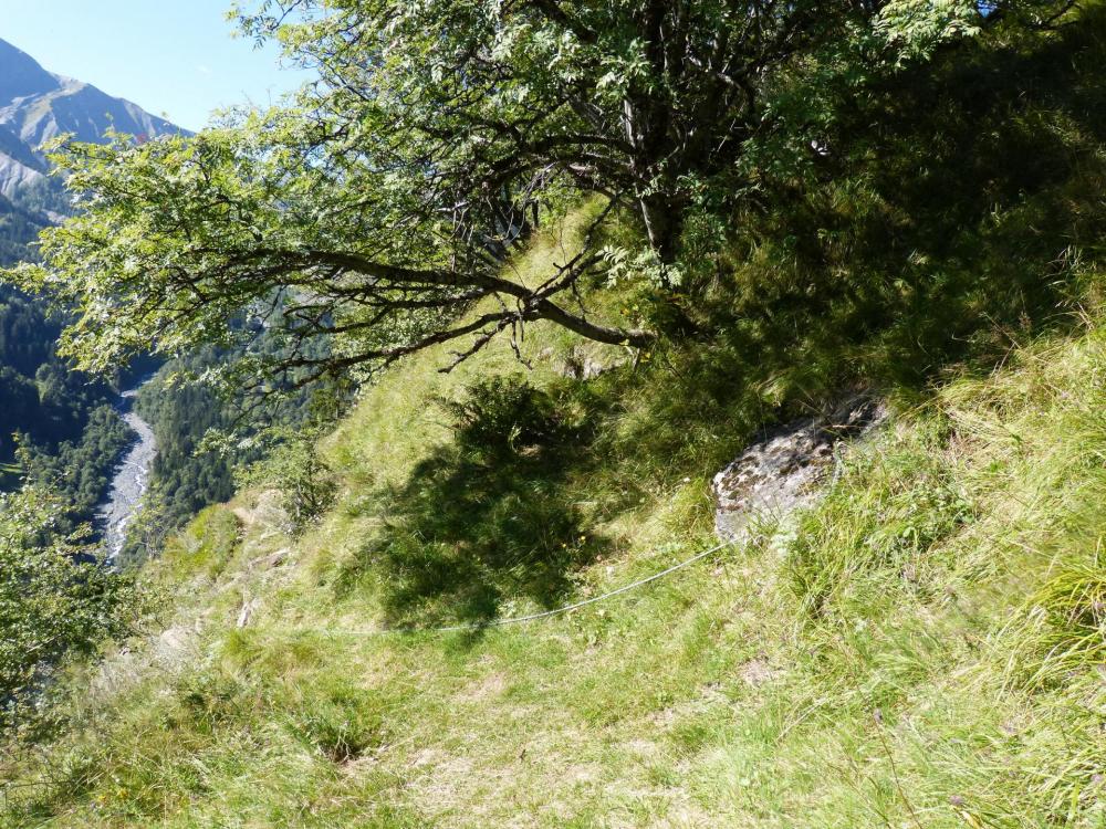 Sur le plateau boisé au dessus de la via ferrata de La Chal