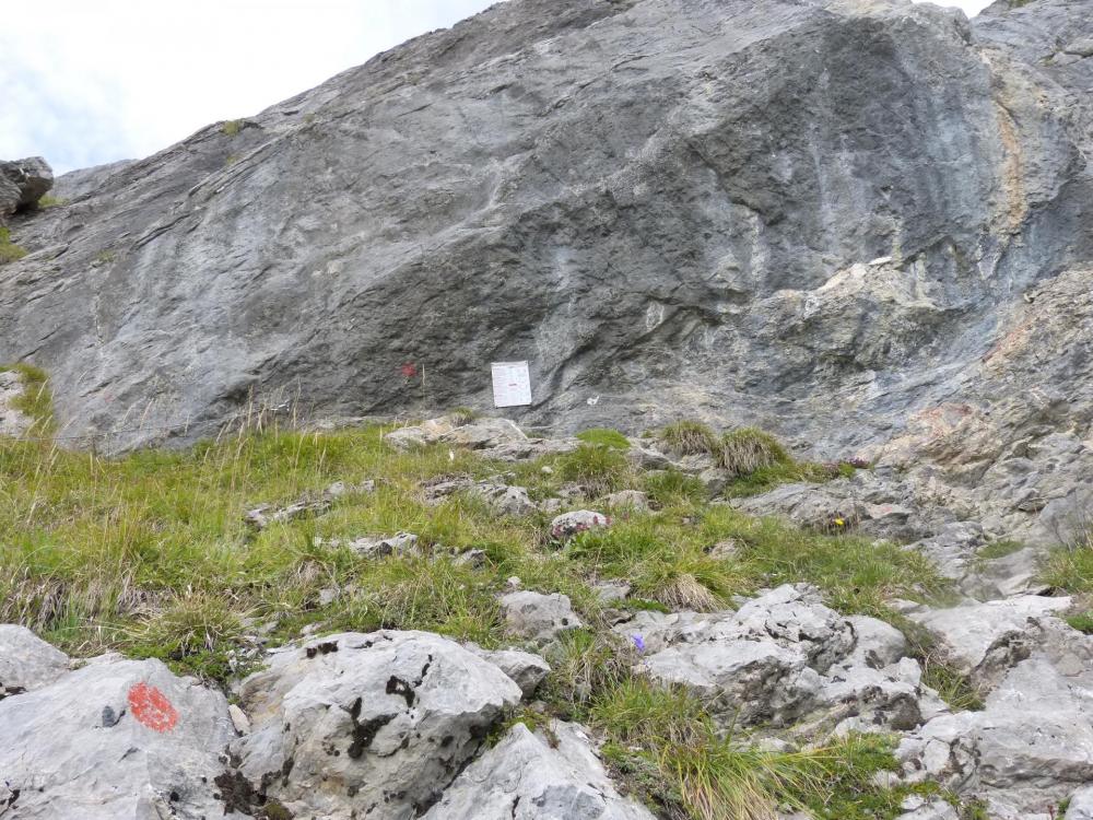 Départ de la via ferrata du Golet de la Trouye, le câble méne au sommet avec quelques interruptions exposées !