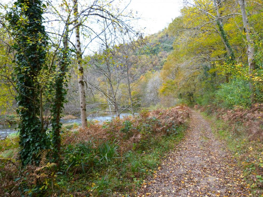 Chemin d' accès de la via de Bor et Bar le long de l' Orb