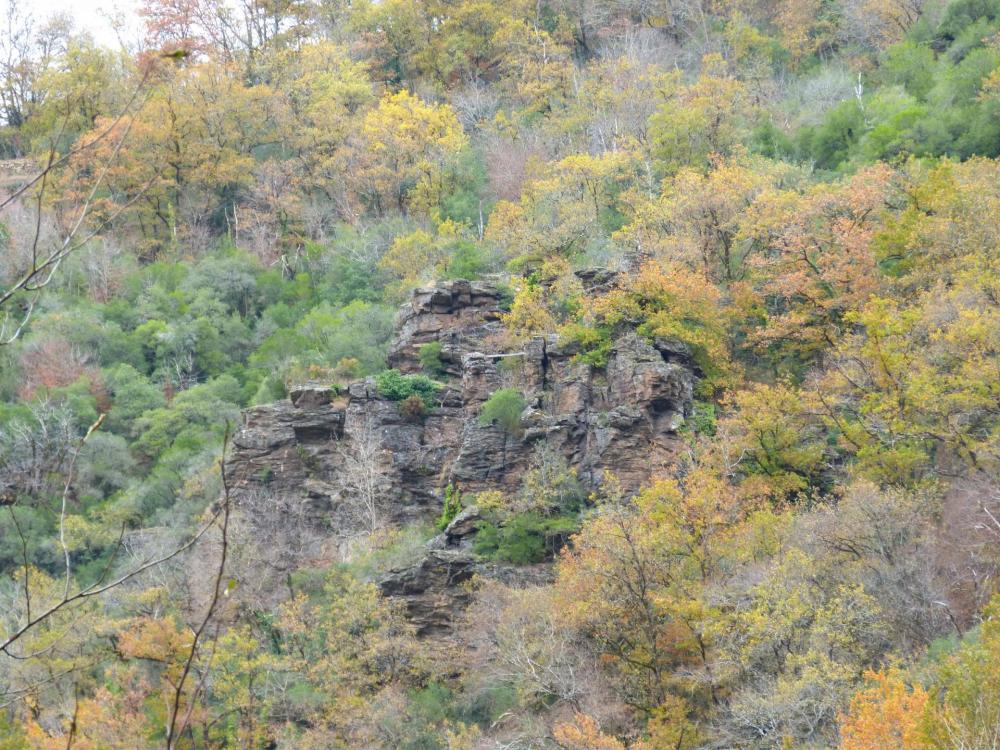 Rocher du Gorb (départ de la tyrolienne)