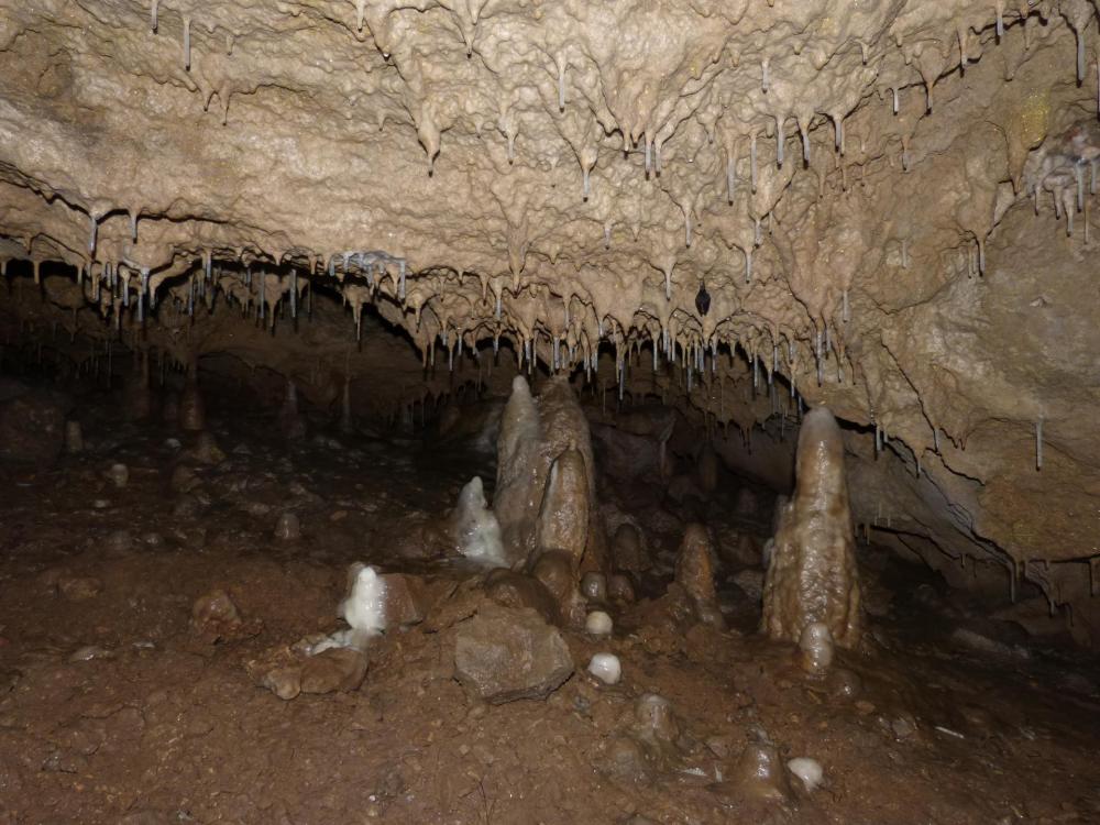 Dès le début de la grotte, les concrétions sont présentes !