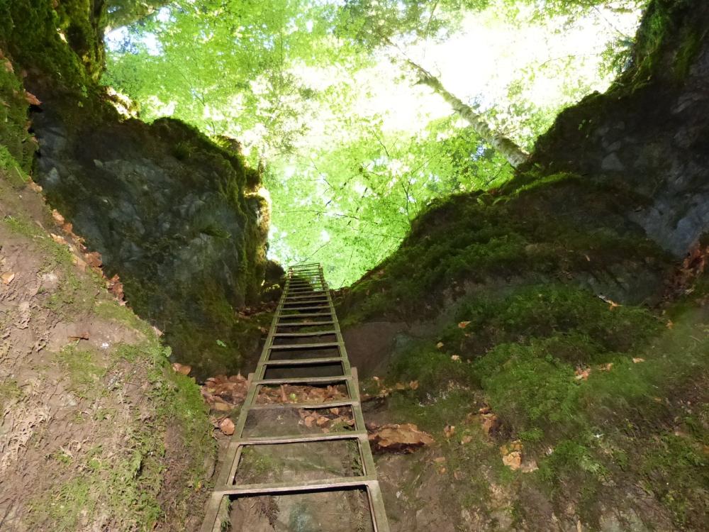 l' échelle de descente de la Baume du Mont à Reugney vue depuis le bas