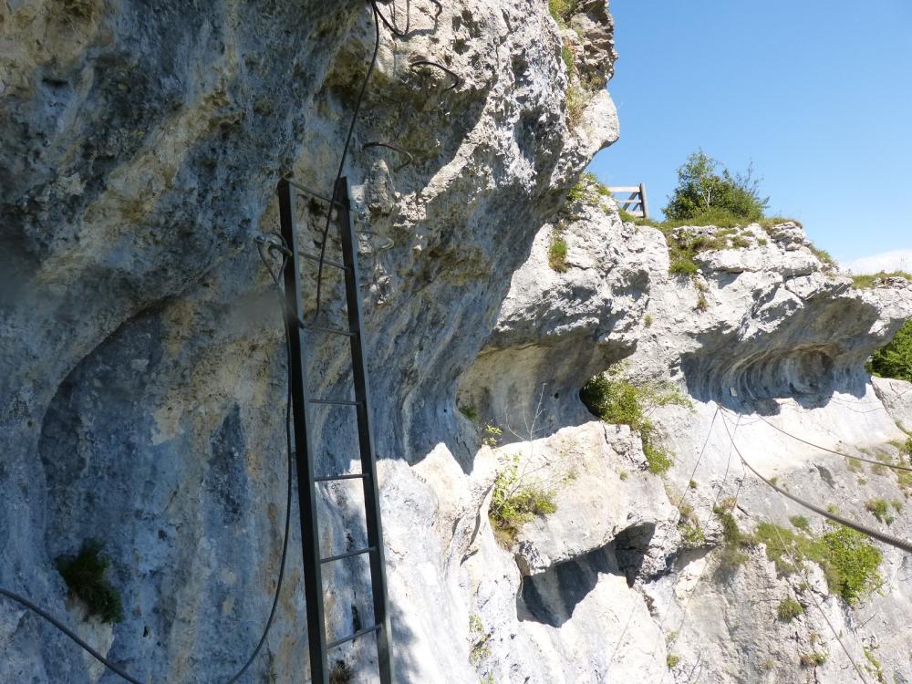 Via ferrata du rocher du Mont à Ornans ... L' échelle de sortie !