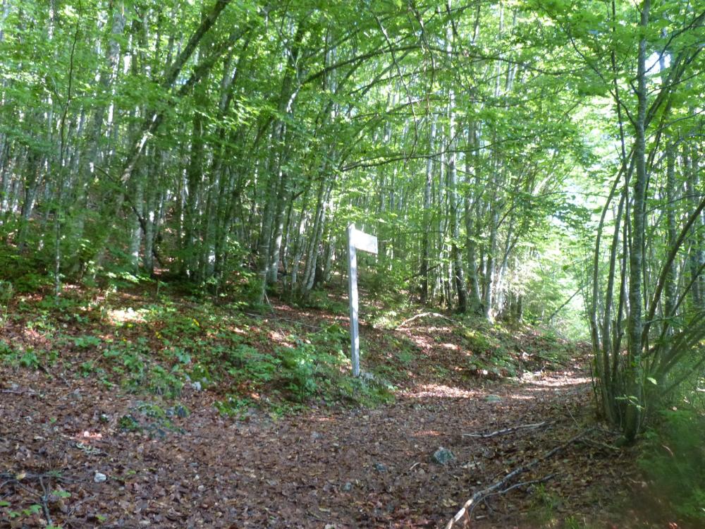 Première partie de la montée en sous bois vers la Place à Banban