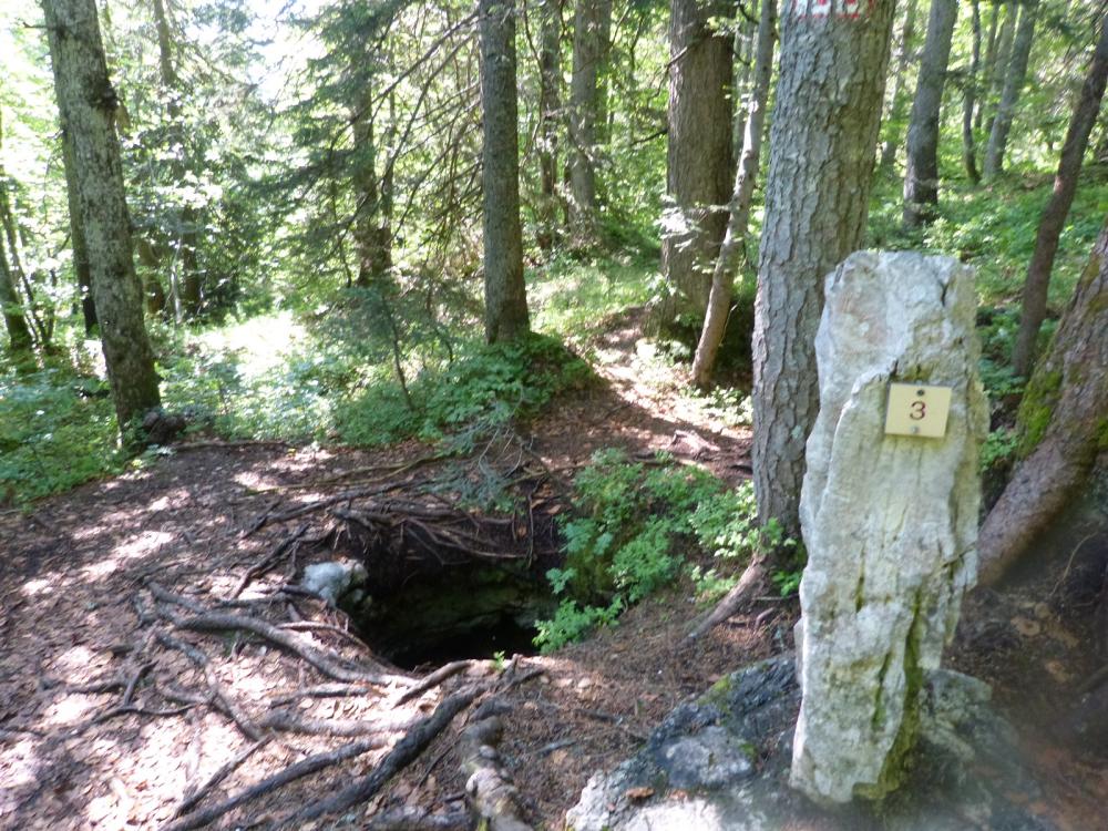 Le sentier des tannes à Aillon le Jeune