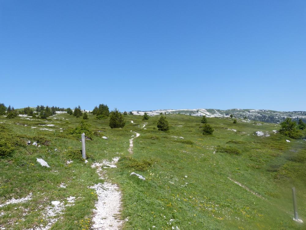 Sentier des Tannes, en direction du sommet du Margériaz depuis le Grand Rafou