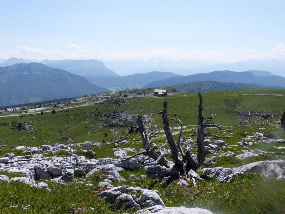 Plateau du Margeriaz