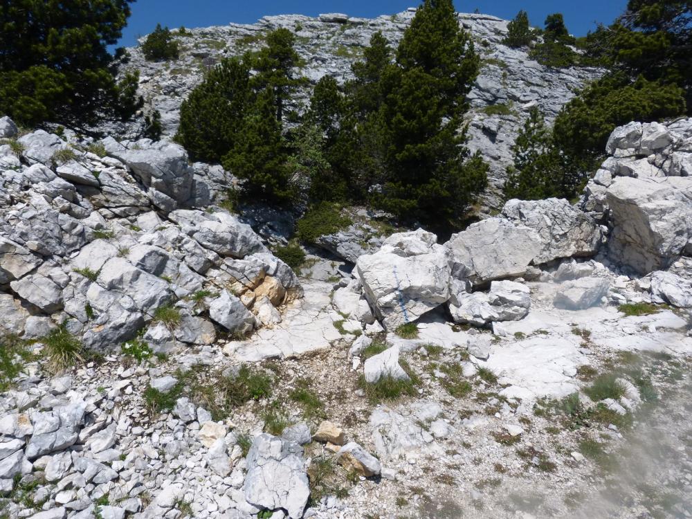 Peu avant le sommet du Margeriaz, le passage vers le Golet de l' Agneau qui permet de rejoindre Plainpalais (marque bleue)