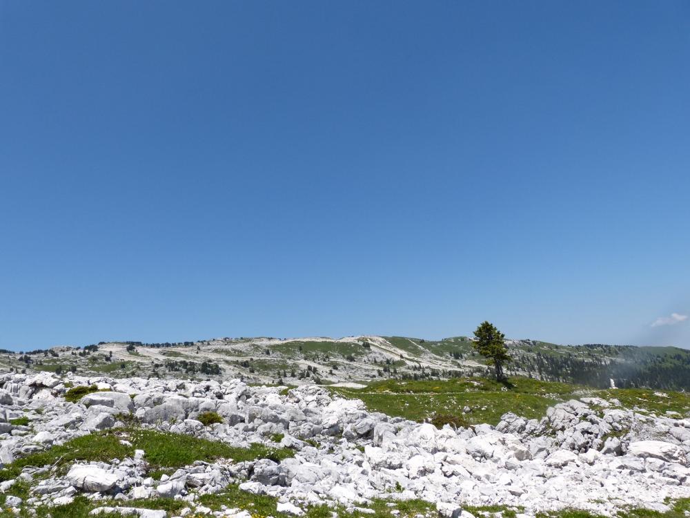 Le Margeriaz vu un peu plus bas sur le sentier des Glacières