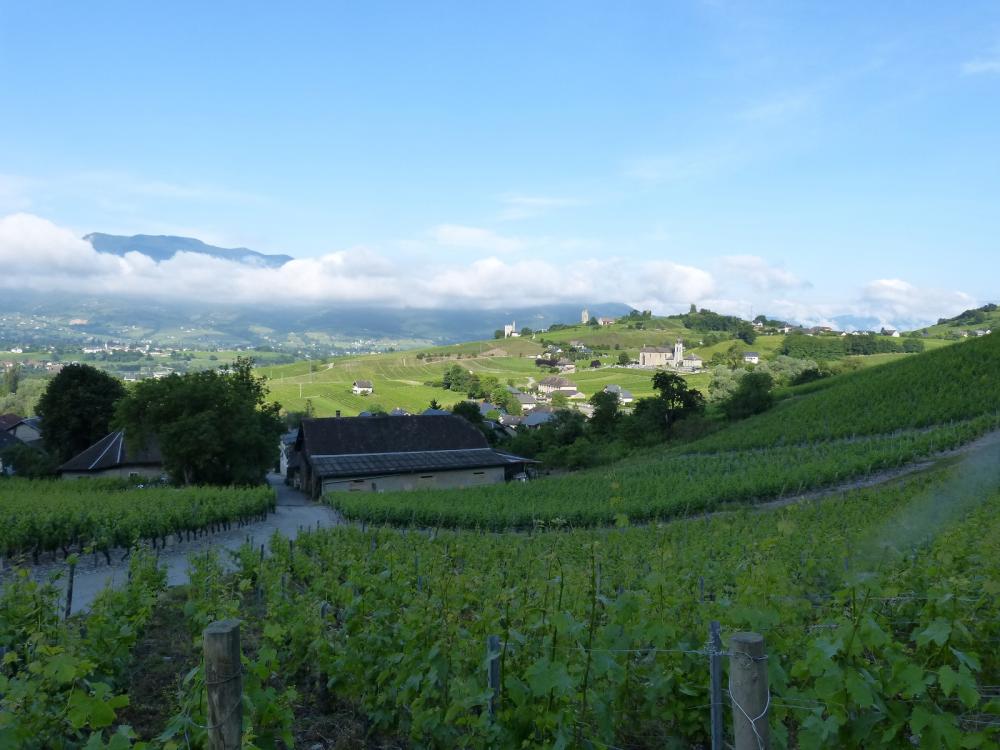 En montant dans les vignes,vue sur le village de Chignin et ses environs