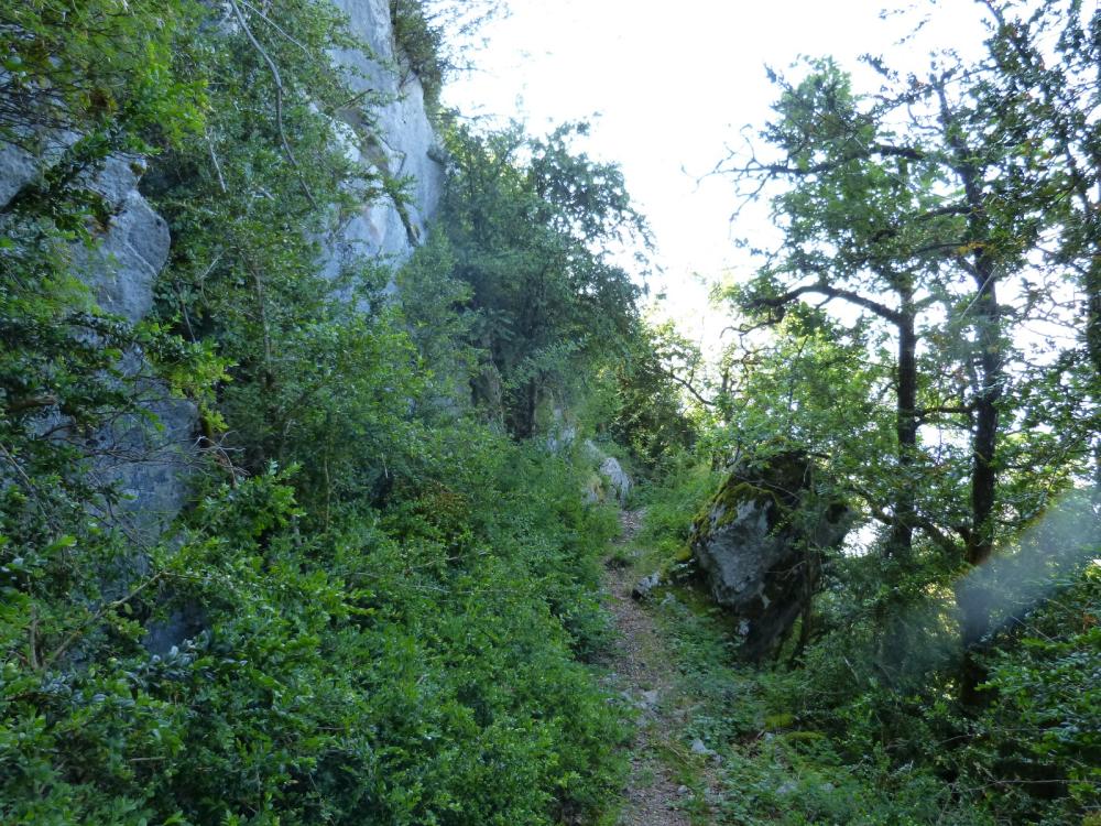 sous le roc de Tormery juste avant la montée ferrée !