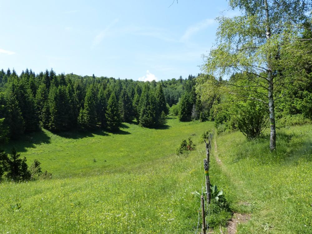 Un bien joli vallon derrière le roc de Tormery