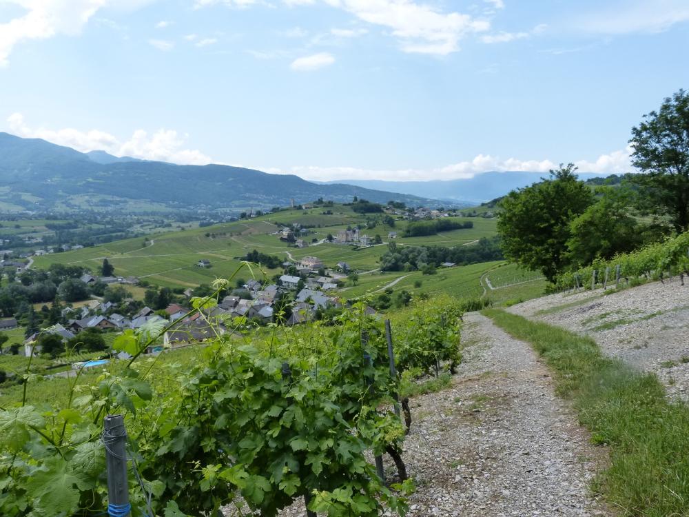 Retour sur Chignin et ses vignes