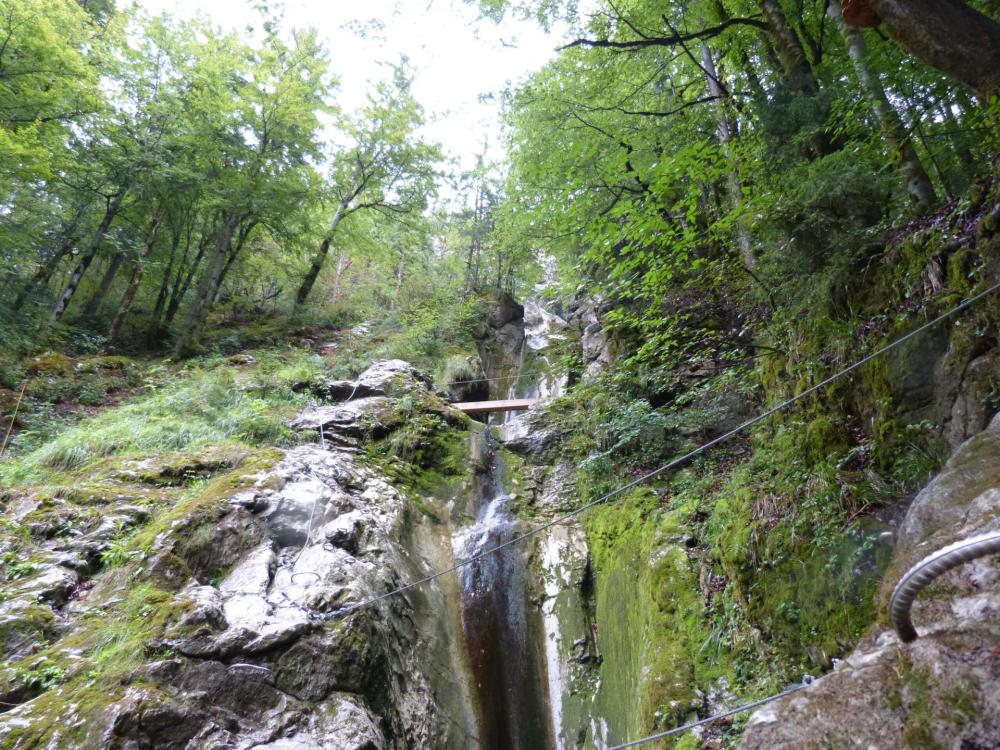 Pont de singe et poutre dans le début de la via ferrata de la cascade des Nants