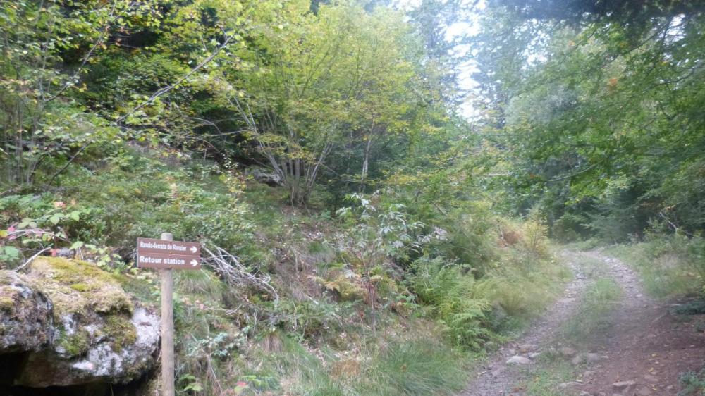 Chemin de descente en forêt vers le secteur 2 de la via ferrata , la rivière Ance, le départ de la tyrolienne et le secteur 1 de la passerelle.