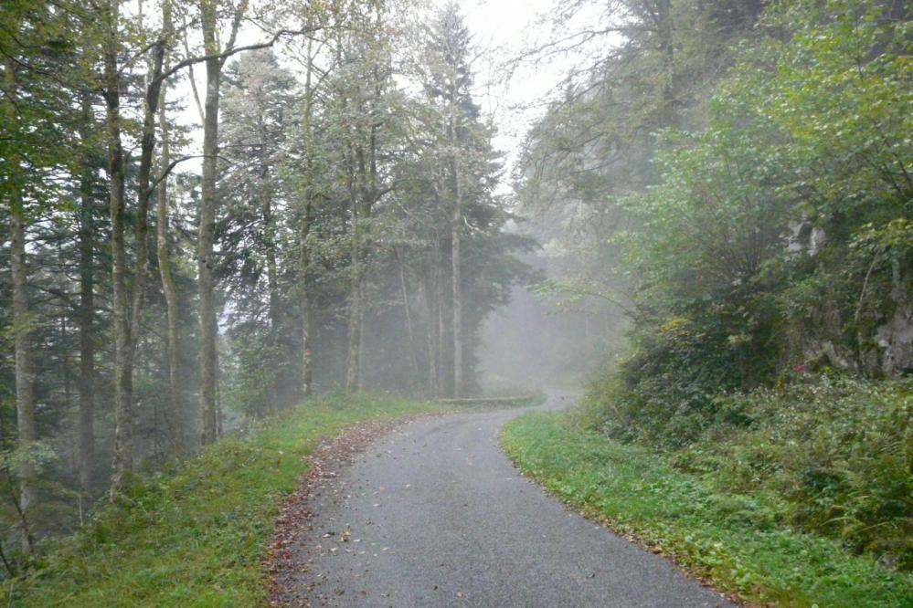 à mi montée du ballon de Servance, le brouillard s'installe !