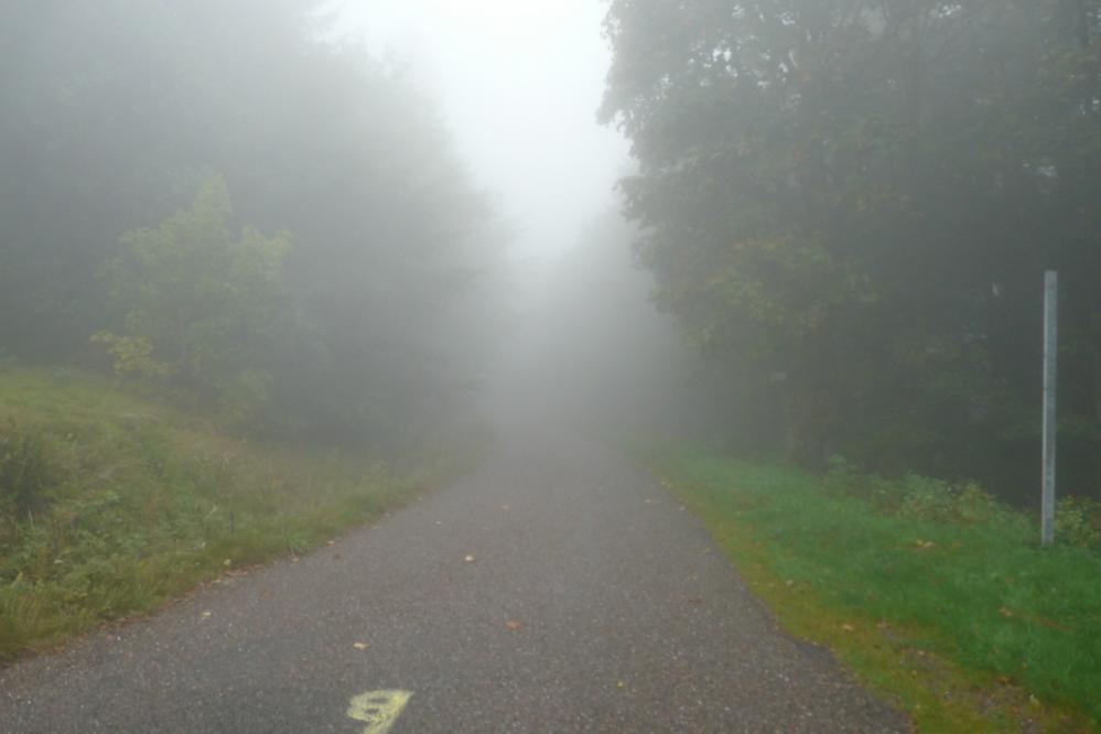 Descente du ballon de Servance dans le brouillard ...avant la pluie !