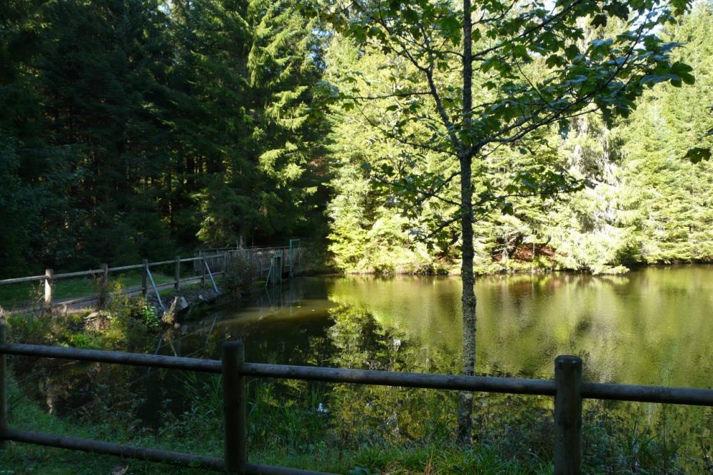 étang de Belbriette (Vosges,Xonrupt)