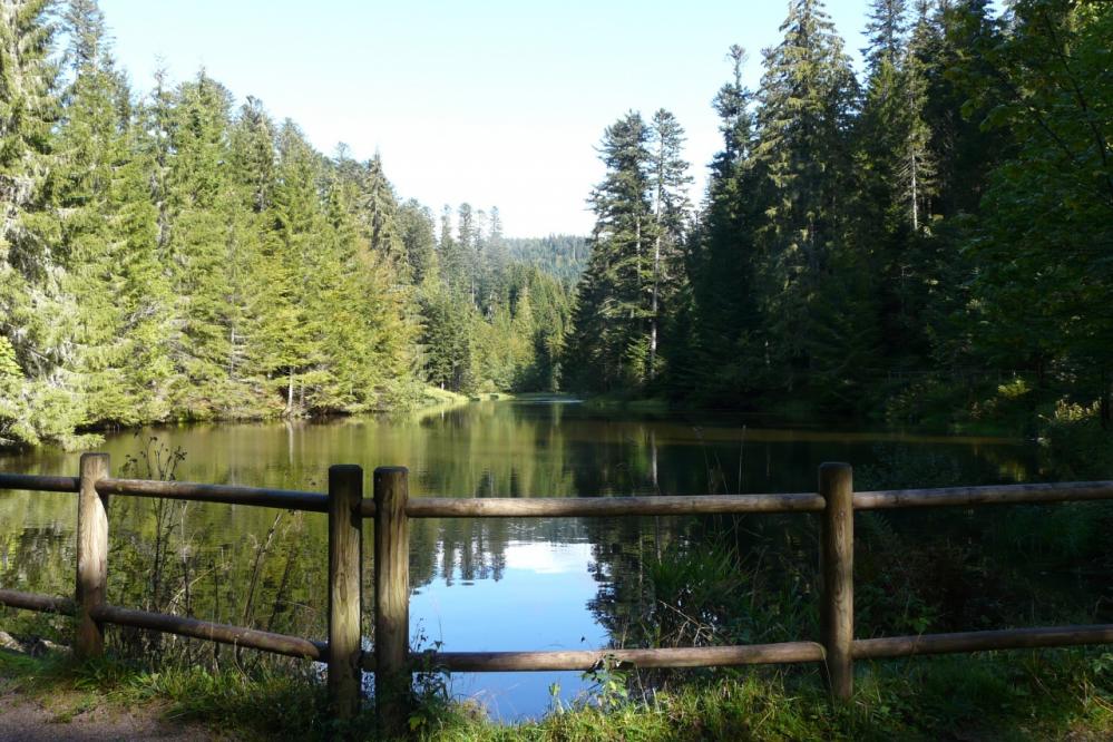 étang de Belbriette (Vosges,Xonrupt)