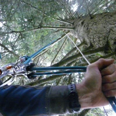 rappel sur arbre dans le col de la forclaz à près d' Annecy