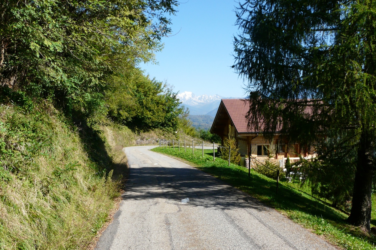 la montée du col deTamié,au loin le Mont blanc.