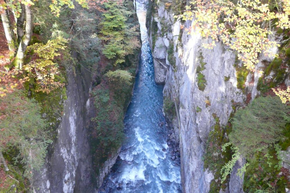 les gorges de la Tine