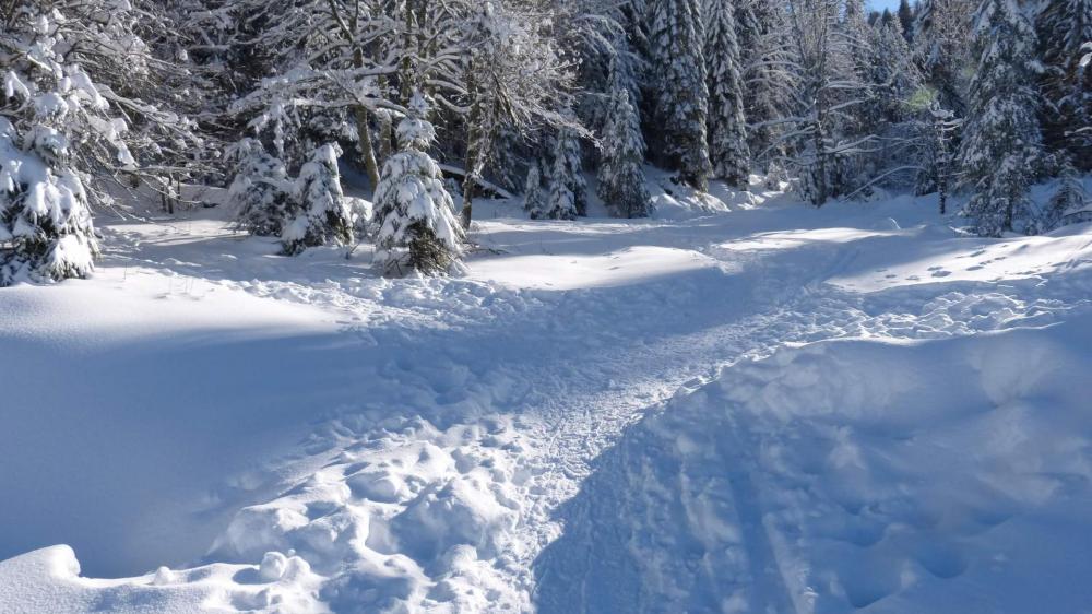 Départ du bas Chitelet vers le col de Thiaville