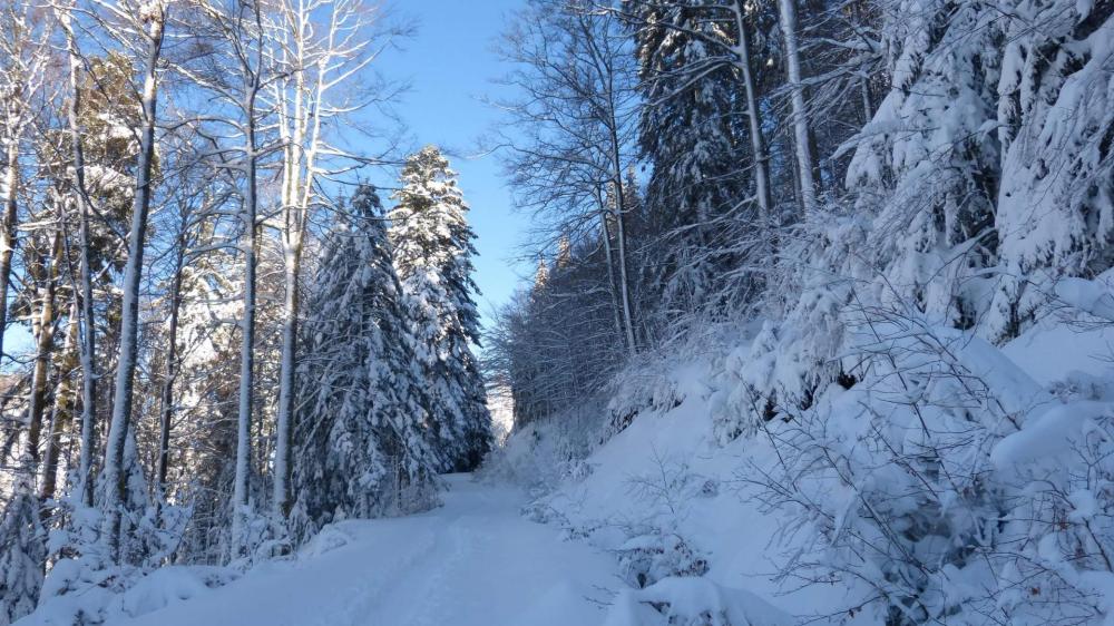 Belle rampe à monter pour arriver au dessus du col des Faignes