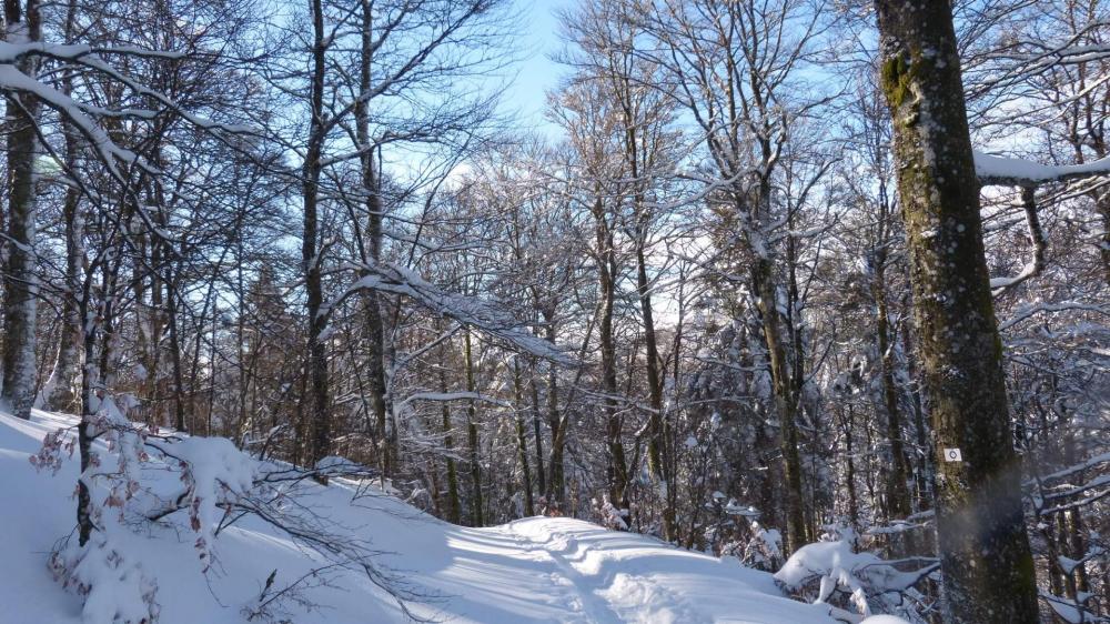 Montée vers le refuge de Sotré