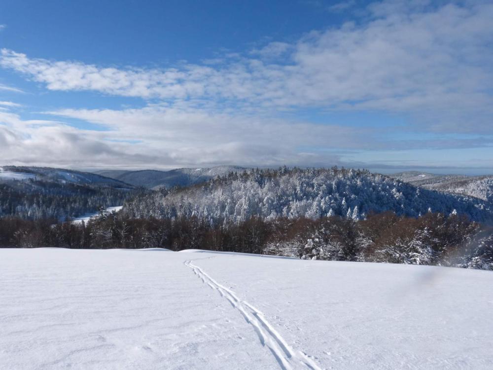 Vue sur les piste de La Bresse Hohneck depuis le refuge de Sotré