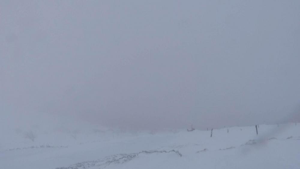 A partir de là ,je ne verrai plus grand chose du paysage, et le chalet du Hohneck se devinera plus qu'il ne se verra !