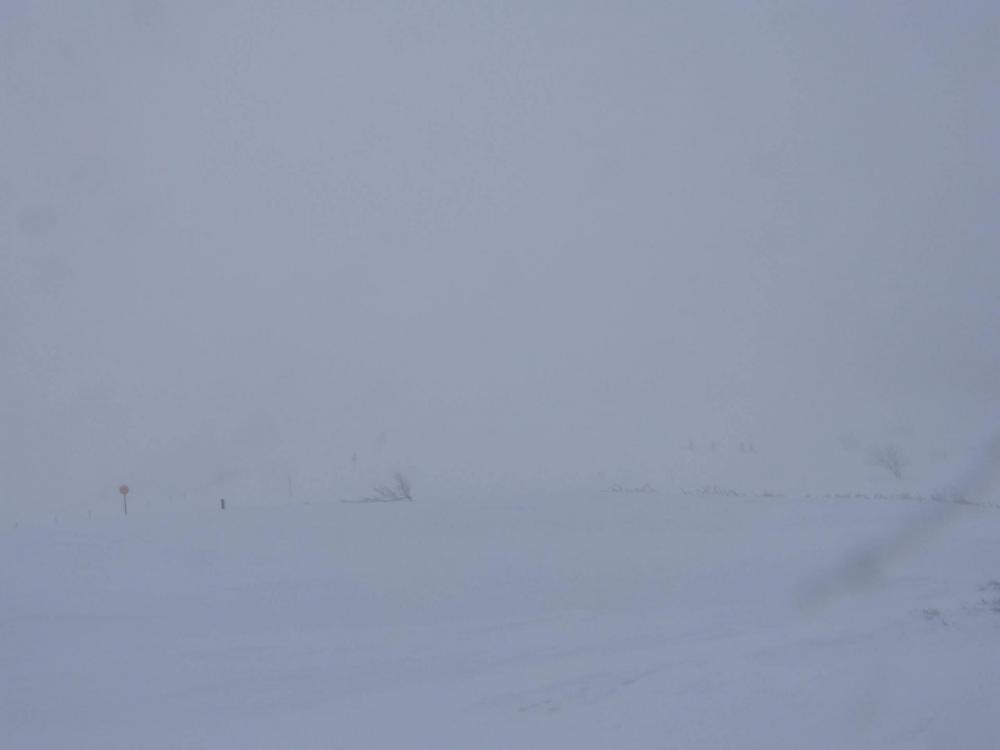 Visibilité 50 m, vent et neige, l' orientation ne se fait plus qu' avec mon application iphigenie !