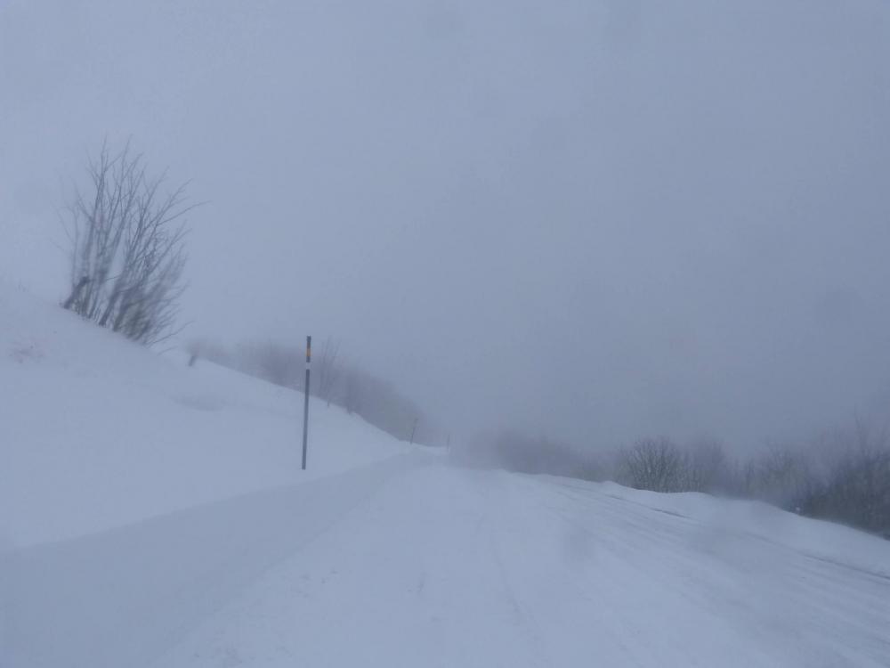 Par la route des Crêtes, je rejoins le haut des pistes de la station de La Bresse Hohneck