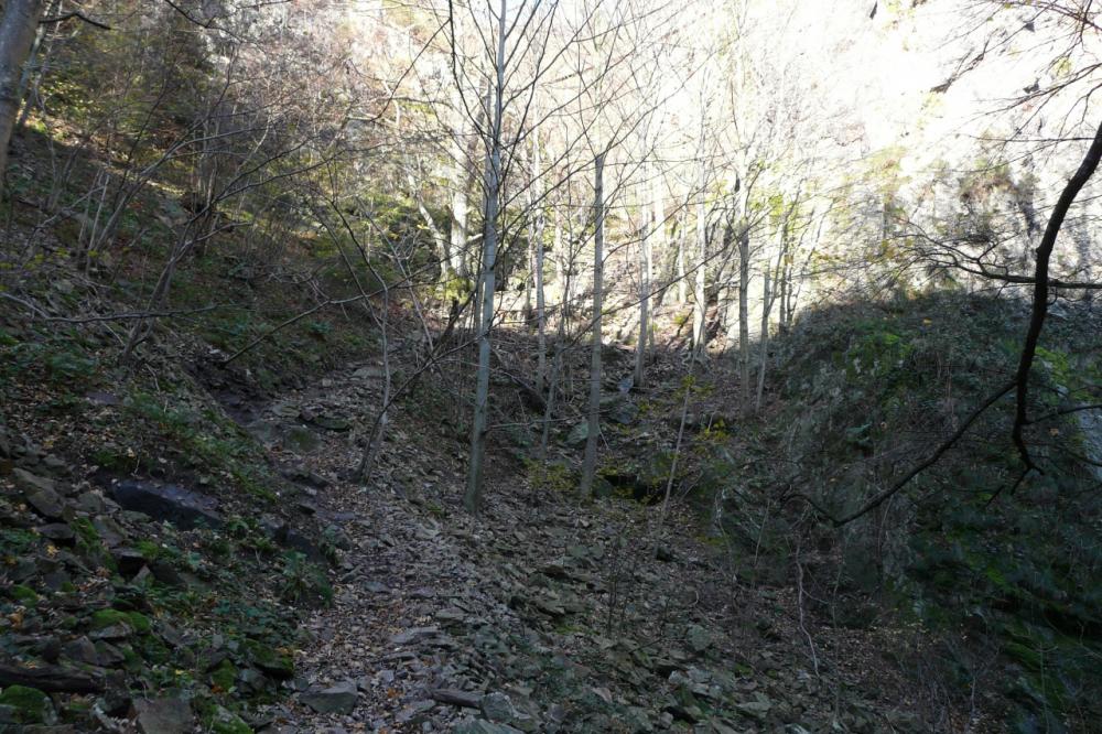 le chemin de descente de la via adulte