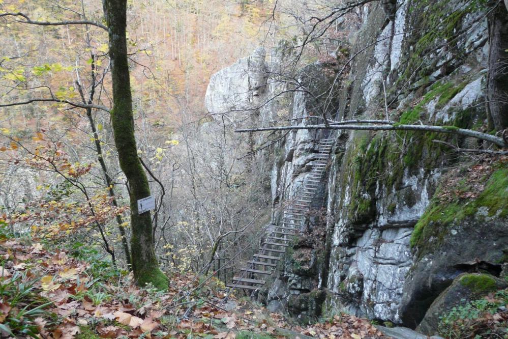 La passerelle de la gargouille