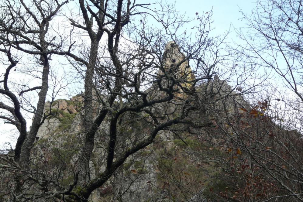 les rochers de la Miramande vus d' en bas