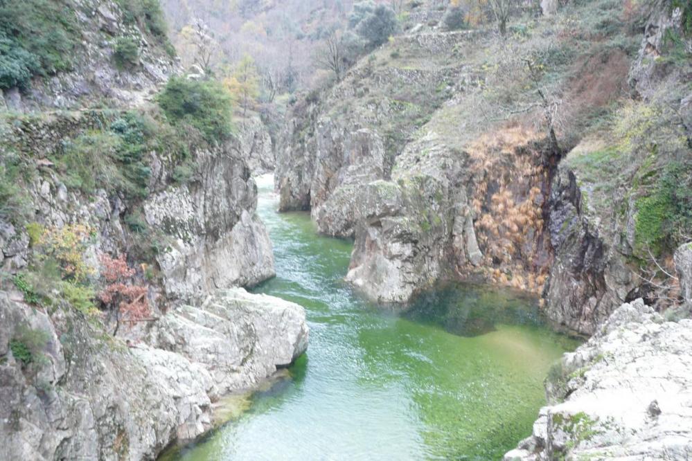 l' Ardèche vue depuis la rive gauche