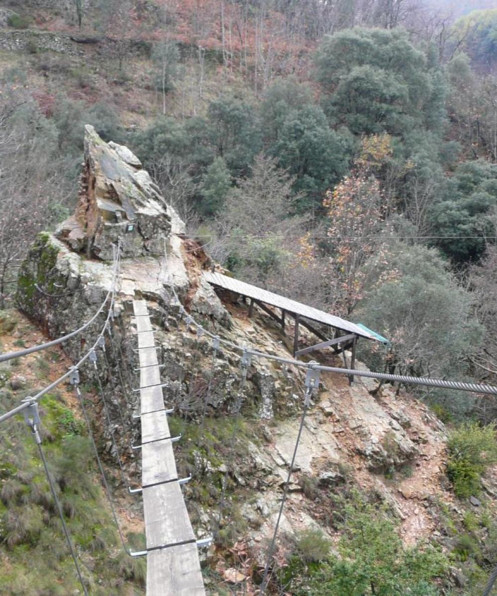 passerelle et tyrolienne vues depuis le pied du mur