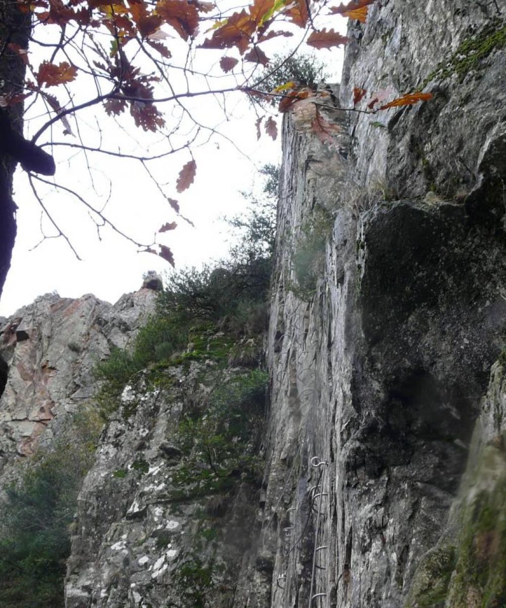 traversée arborée entre deux murs