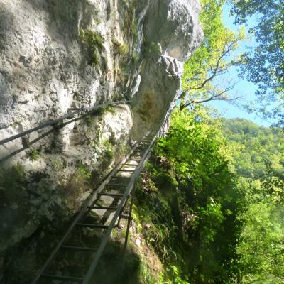 L ' échelle d' accès à la grotte des Faux Monnayeurs