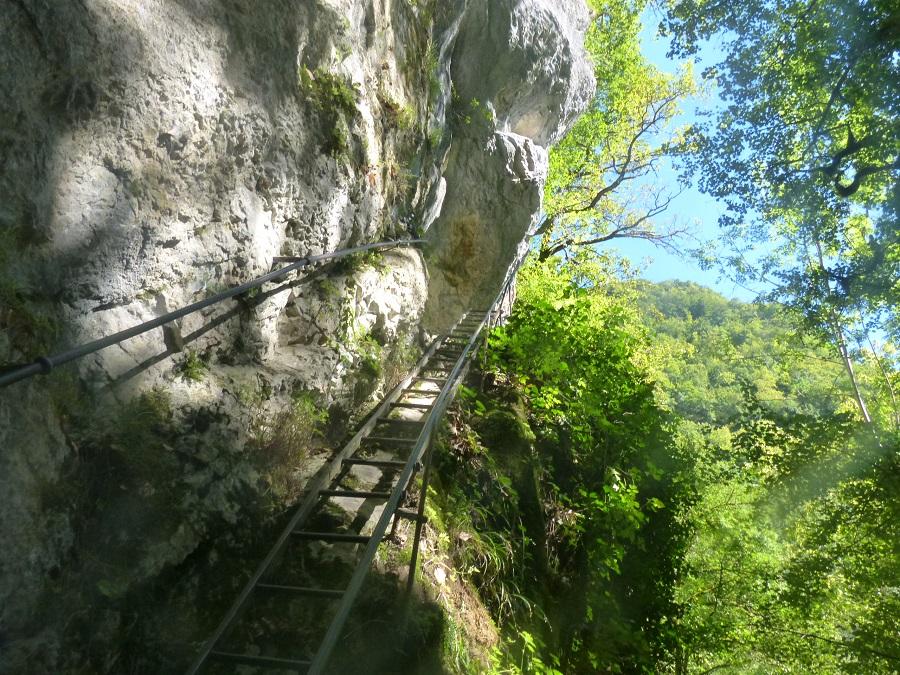 L ' échelle d' accès à la grotte des Faux Monnayeurs